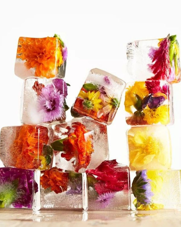 Meet the Adaptogens: Nature’s Solution for Calming, Lasting Relief